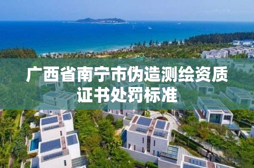 廣西省南寧市偽造測繪資質證書處罰標準