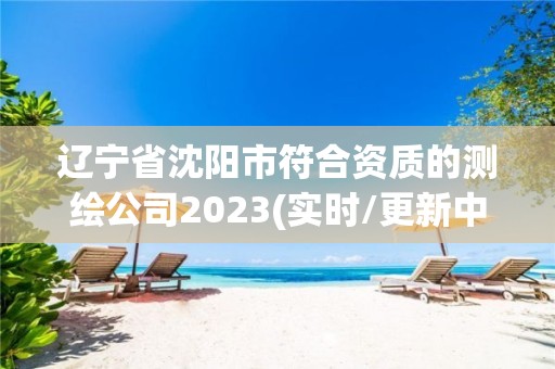 遼寧省沈陽市符合資質的測繪公司2023(實時/更新中)