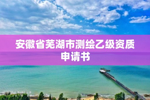 安徽省蕪湖市測繪乙級資質申請書