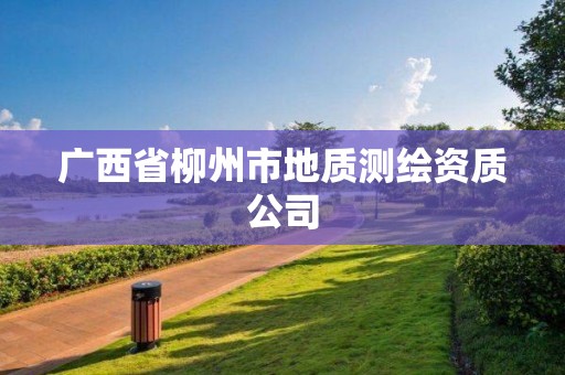 廣西省柳州市地質(zhì)測繪資質(zhì)公司