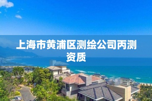 上海市黃浦區測繪公司丙測資質