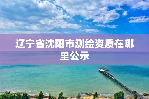 遼寧省沈陽市測繪資質(zhì)在哪里公示