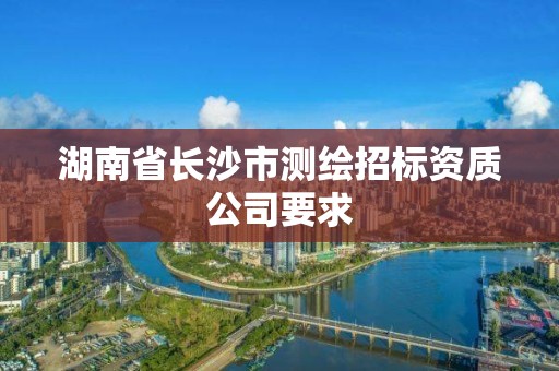 湖南省長沙市測繪招標資質公司要求