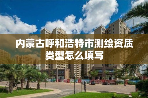 內蒙古呼和浩特市測繪資質類型怎么填寫