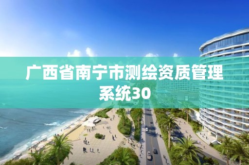 廣西省南寧市測繪資質管理系統30