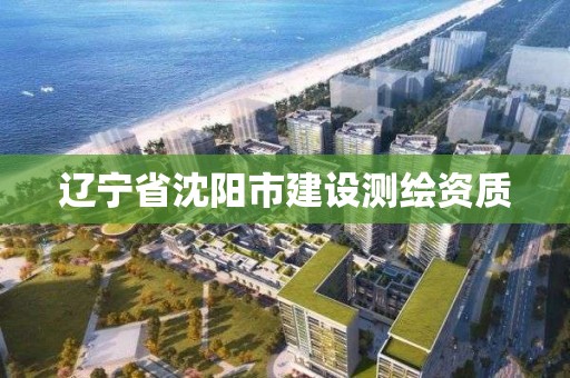 遼寧省沈陽市建設測繪資質