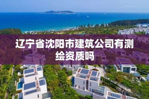 遼寧省沈陽市建筑公司有測繪資質嗎