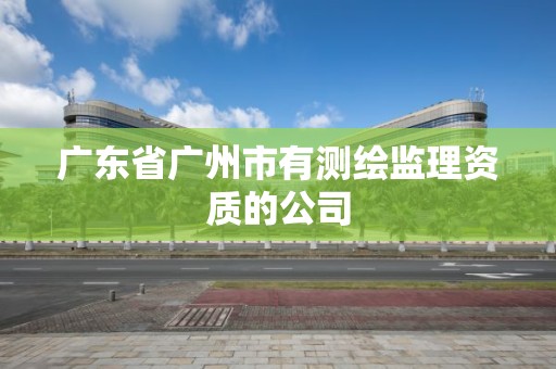 廣東省廣州市有測繪監(jiān)理資質(zhì)的公司