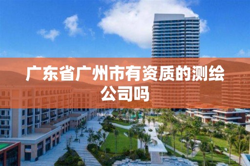 廣東省廣州市有資質的測繪公司嗎