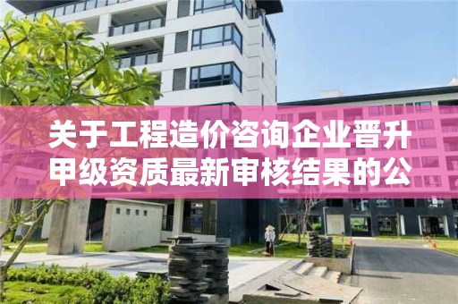 關于工程造價咨詢企業晉升甲級資質最新審核結果的公示 