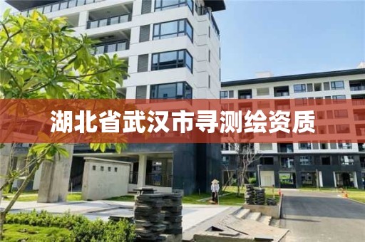 湖北省武漢市尋測繪資質