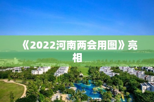 《2022河南兩會用圖》亮相