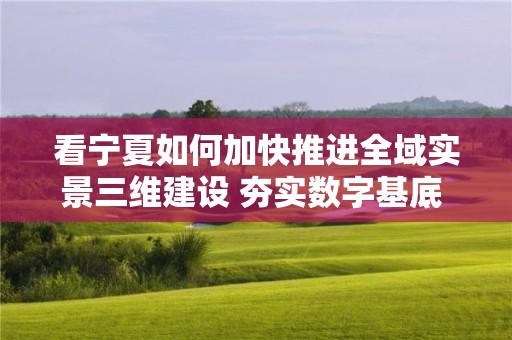 看寧夏如何加快推進全域實景三維建設 夯實數字基底 細構應用場景