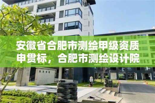 安徽省合肥市測繪甲級資質申貫標，合肥市測繪設計院