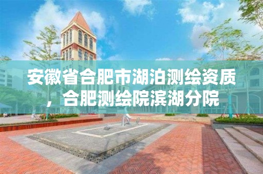 安徽省合肥市湖泊測繪資質(zhì)，合肥測繪院濱湖分院