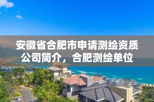 安徽省合肥市申請測繪資質(zhì)公司簡介，合肥測繪單位