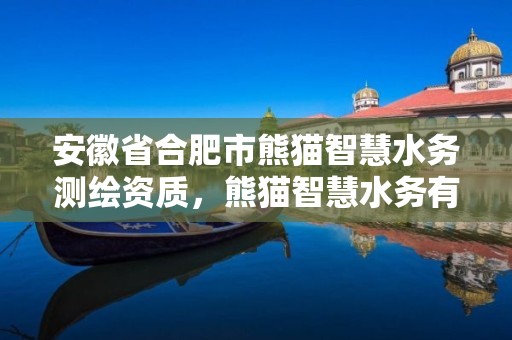 安徽省合肥市熊貓智慧水務(wù)測(cè)繪資質(zhì)，熊貓智慧水務(wù)有限公司武漢研發(fā)中心是生產(chǎn)什么產(chǎn)品的