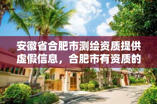 安徽省合肥市測繪資質提供虛假信息，合肥市有資質的測繪公司