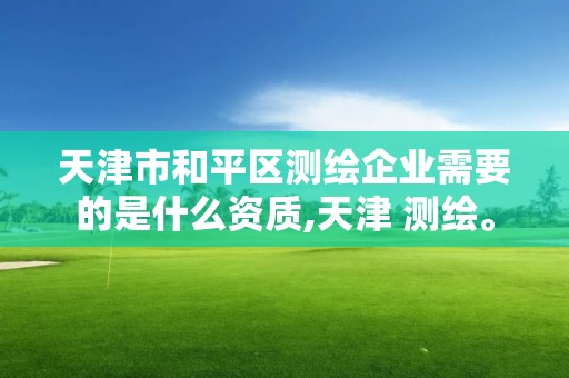 天津市和平區測繪企業需要的是什么資質,天津 測繪。