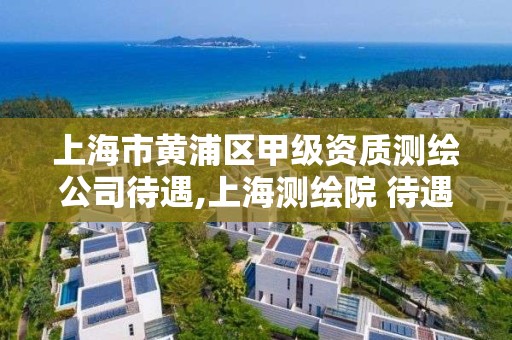 上海市黃浦區甲級資質測繪公司待遇,上海測繪院 待遇