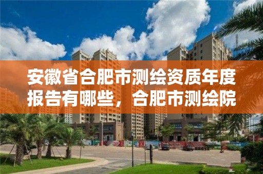 安徽省合肥市測繪資質年度報告有哪些，合肥市測繪院