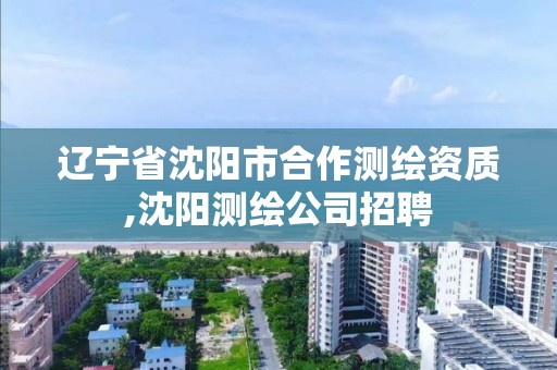 遼寧省沈陽市合作測繪資質,沈陽測繪公司招聘