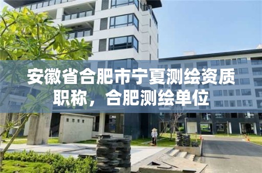 安徽省合肥市寧夏測繪資質(zhì)職稱，合肥測繪單位