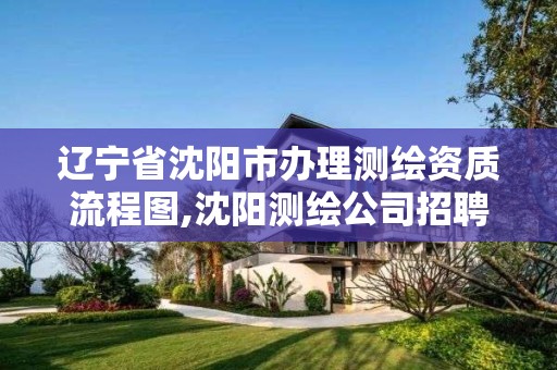 遼寧省沈陽市辦理測繪資質流程圖,沈陽測繪公司招聘信息最新招聘。