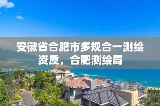 安徽省合肥市多規(guī)合一測繪資質(zhì)，合肥測繪局