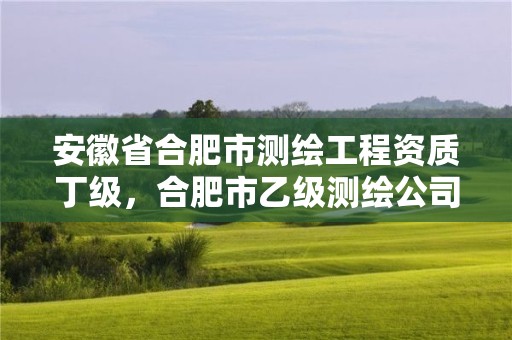 安徽省合肥市測繪工程資質丁級，合肥市乙級測繪公司