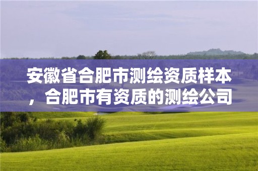 安徽省合肥市測繪資質(zhì)樣本，合肥市有資質(zhì)的測繪公司