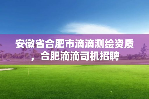 安徽省合肥市滴滴測繪資質，合肥滴滴司機招聘