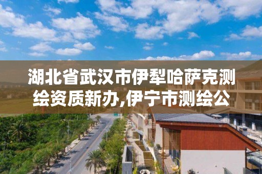 湖北省武漢市伊犁哈薩克測繪資質新辦,伊寧市測繪公司