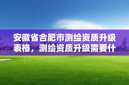 安徽省合肥市測繪資質升級表格，測繪資質升級需要什么條件