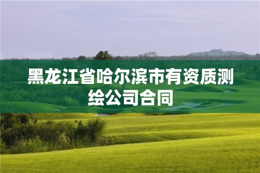 黑龍江省哈爾濱市有資質測繪公司合同