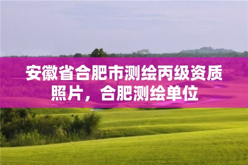 安徽省合肥市測繪丙級資質(zhì)照片，合肥測繪單位