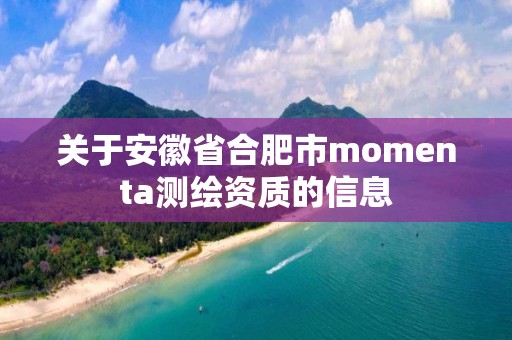 關于安徽省合肥市momenta測繪資質的信息