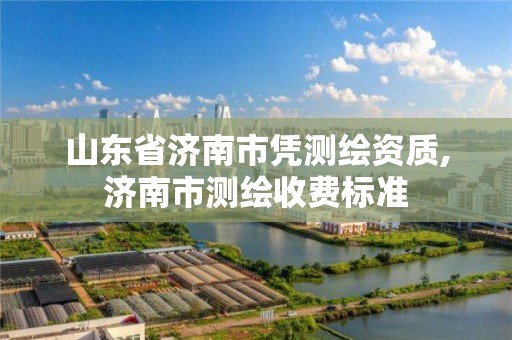 山東省濟南市憑測繪資質,濟南市測繪收費標準