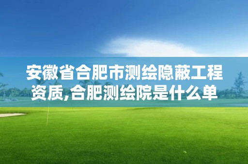 安徽省合肥市測(cè)繪隱蔽工程資質(zhì),合肥測(cè)繪院是什么單位