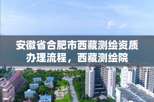 安徽省合肥市西藏測繪資質辦理流程，西藏測繪院