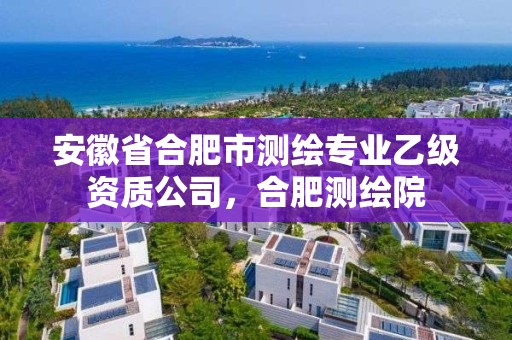 安徽省合肥市測繪專業乙級資質公司，合肥測繪院