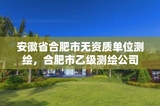 安徽省合肥市無資質(zhì)單位測繪，合肥市乙級測繪公司