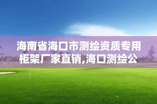 海南省海口市測繪資質專用柜架廠家直銷,海口測繪公司招聘。