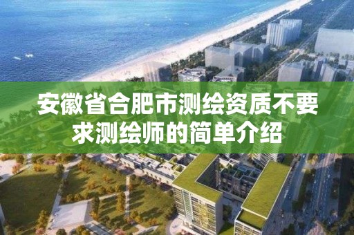 安徽省合肥市測繪資質不要求測繪師的簡單介紹