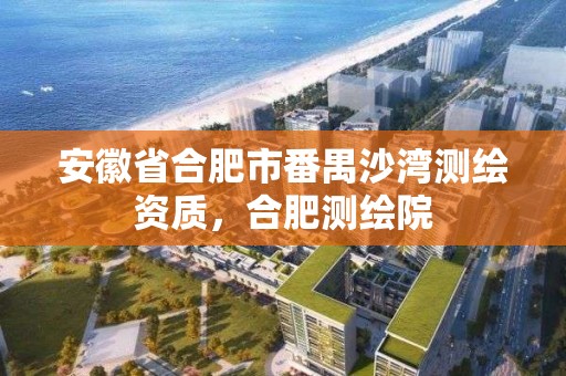 安徽省合肥市番禺沙灣測繪資質，合肥測繪院