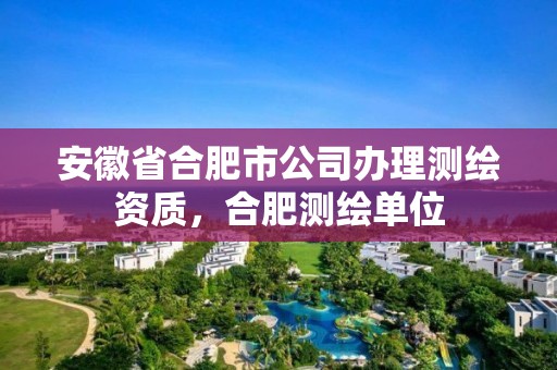 安徽省合肥市公司辦理測繪資質，合肥測繪單位