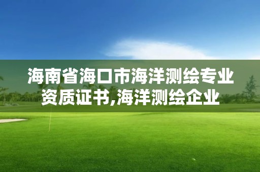 海南省海口市海洋測繪專業資質證書,海洋測繪企業