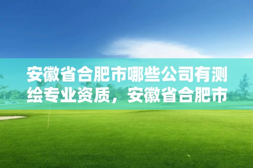 安徽省合肥市哪些公司有測繪專業資質，安徽省合肥市哪些公司有測繪專業資質的公司