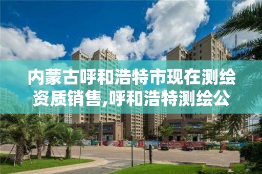 內蒙古呼和浩特市現在測繪資質銷售,呼和浩特測繪公司招聘