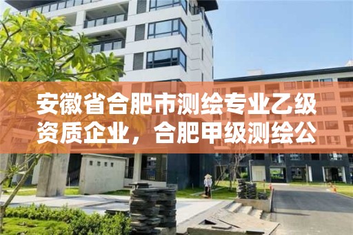 安徽省合肥市測繪專業乙級資質企業，合肥甲級測繪公司